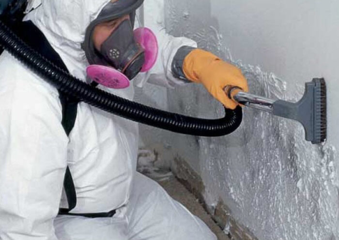 Black Mold Removal in Baltimore A Comprehensive Guide