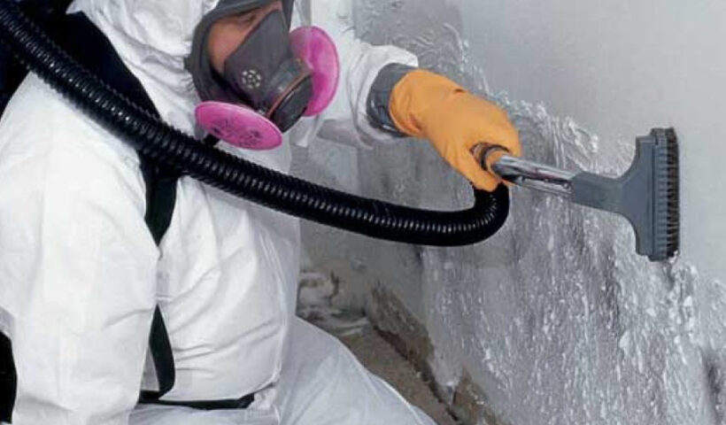 Black Mold Removal in Baltimore A Comprehensive Guide