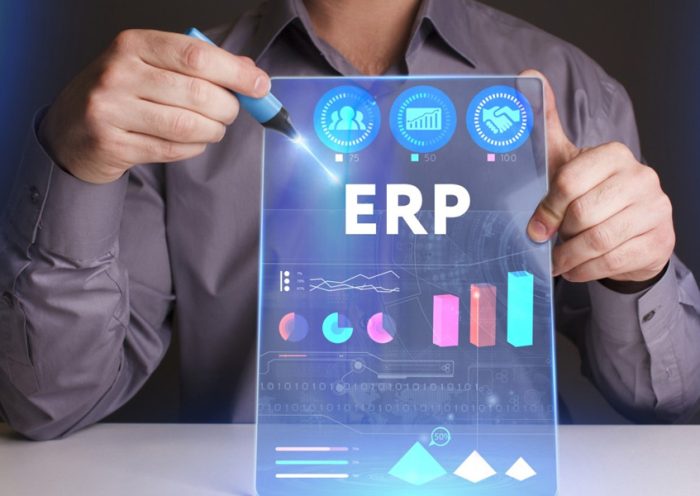 Maximize Business Efficiency with Tailored ERP Training