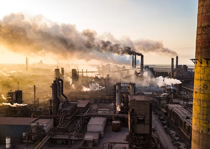 The Truth About Malaysias Carbon Market Who Really Has to Pay and Who Chooses To